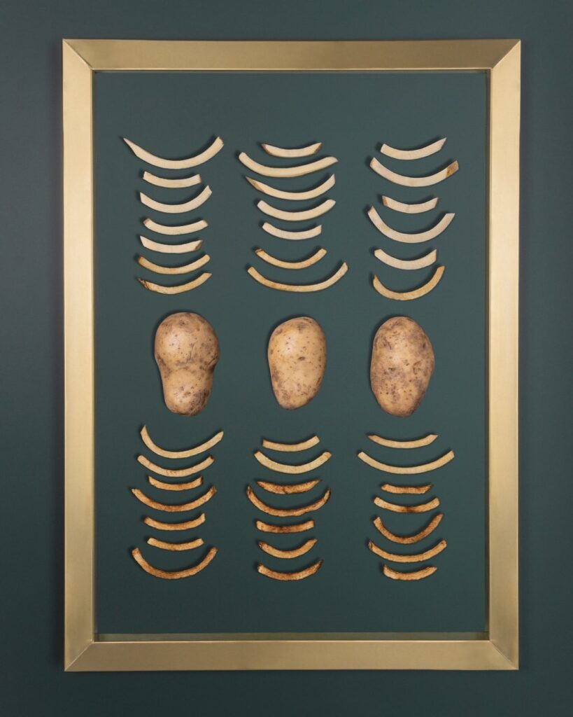 297355661_471673494332041_9195150220904585470_n